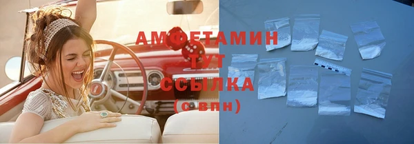 хмурый Алзамай
