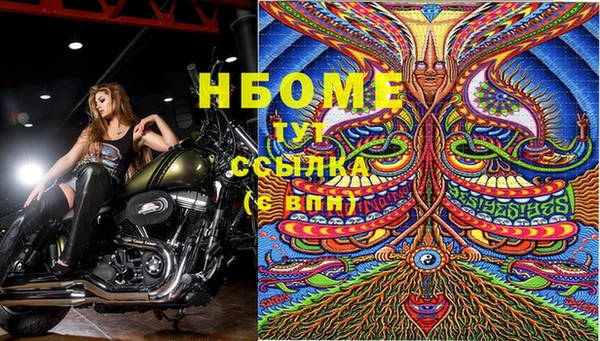 хмурый Алзамай