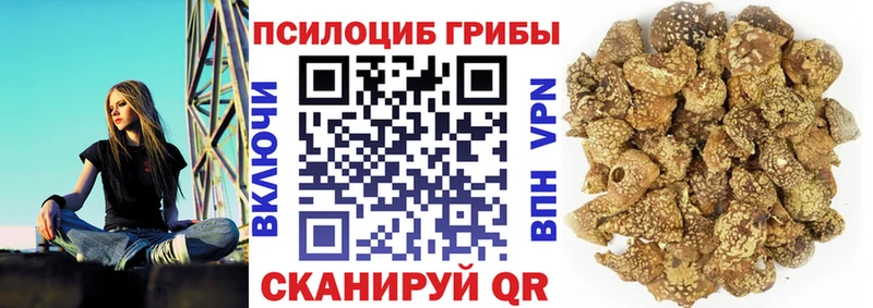 Псилоцибиновые грибы мухоморы  Гаджиево 